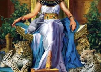 أم الدنيا …