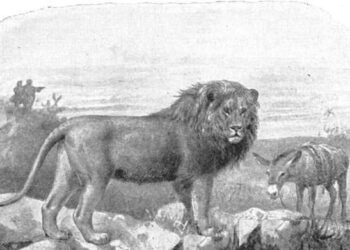 الظالم لا يحتاج سبباً …