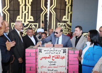 محافظ أسوان ووفد لجنة الصناعة  يضعا حجر الأساس لبعض المشروعات