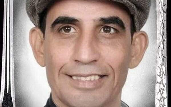 الكينغ بكتب. – (برقيّة أولى، على عجل)