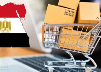 أنتبه ..  9  أشياء تجنب شراءها لراحة البال والأمان أثناء التسوّق عبر الإنترنت …