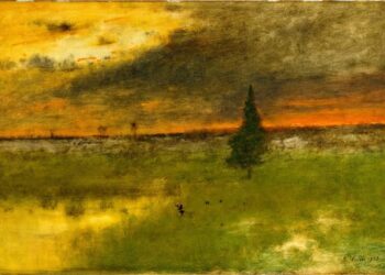 الصنوبرة المتمردة …