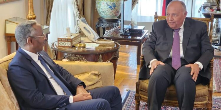 سامح شكري يستقبل وزير الشئون الخارجية والتعاون الدولي الصومالي