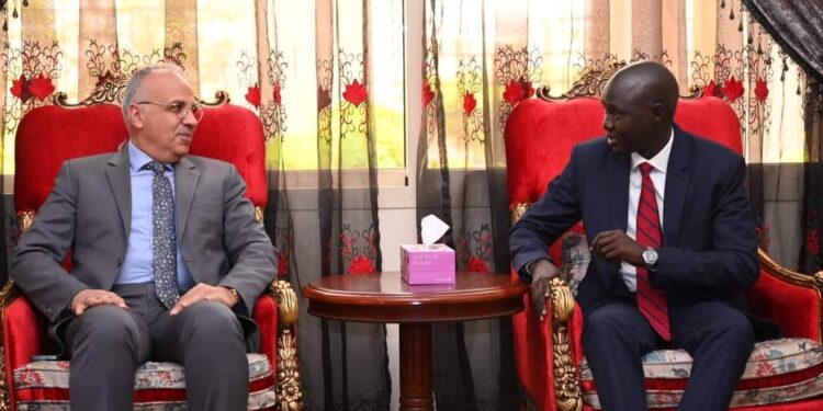 وزير الري يتلقي نظيره بجنوب افريقيا لبحث أوجه التعاون