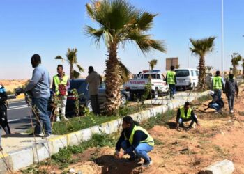 ضمن مبادرة الرئيس عبد الفتاح السيسى لزراعة 100 مليون شجرة