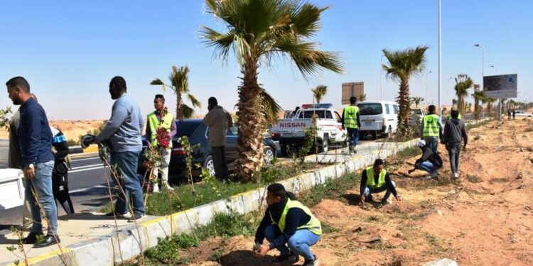 ضمن مبادرة الرئيس عبد الفتاح السيسى لزراعة 100 مليون شجرة