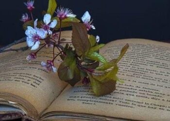 كان مرة هنا …