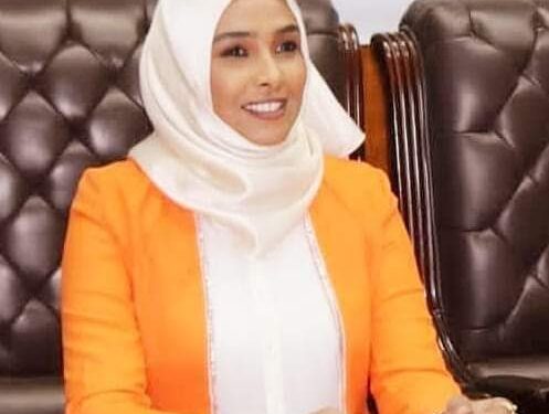 نوح المسارج تكتب ونلتقي