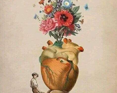 أزهرت الحياة …