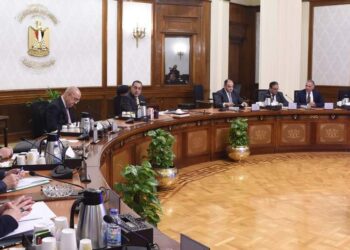 رئيس الوزراء.. استعراض مخطط مشروع مدينة صناعية في ” أكتوبر الجديدة