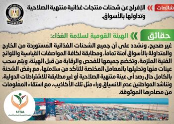 الحكومة تنفى «شائعة»الإفراج عن شحنات منتجات غذائية منتهية الصلاحية وتداولها بالأسواق