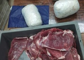 إحباط تهريب أقراص مخدرة داخل لحوم مجمدة عبر ميناء القاهرة الجوى