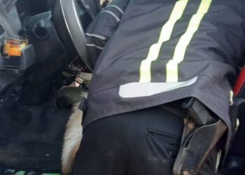  رجال المرور بأرمنت يتمكنوا من القبض علي قائد سيارة نقل محمله بالمخدرات بعد ان اطلق النار عليهم