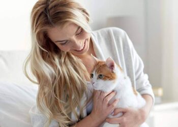بين الشائعات والحقيقة .. القطط تهدد المرأة الحامل والجنين.. ما هي المخاطر  ؟