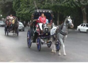 كرباج ورا …