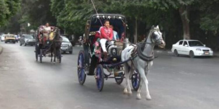 كرباج ورا …