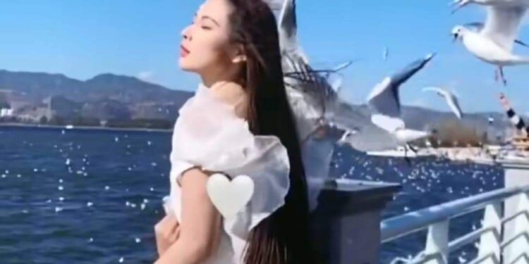 يا صوت حرفي ونبض قلبي…