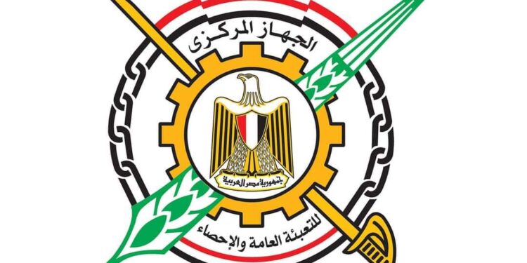 الإحصاء: مصر استقبلت خلال 2022 مولودا كل 14.4 ثانية