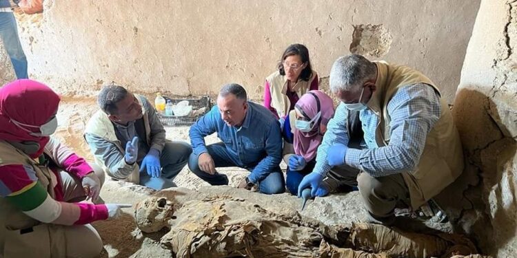 الكشف عن دفنات عائلية لأول مرة من عصر الإنتقال الثاني