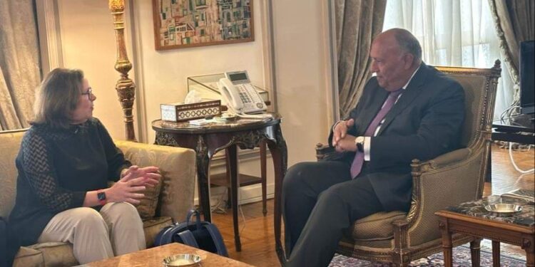 وزير الخارجية يستقبل مدير عام القوة متعددة الجنسيات