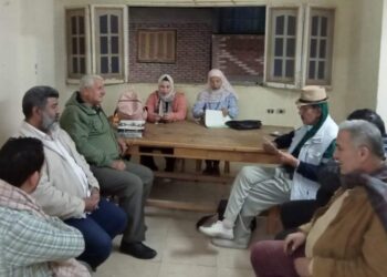 أثر التحول الرقمي على إبداع الأطفال بثقافة القاهرة