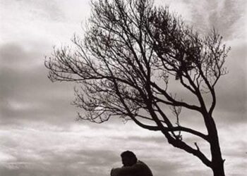 الاديبة  شروق لطيف تكتب…. رواية ”  رحيل أبدي ”  الجزء السابع ( الصدمة )