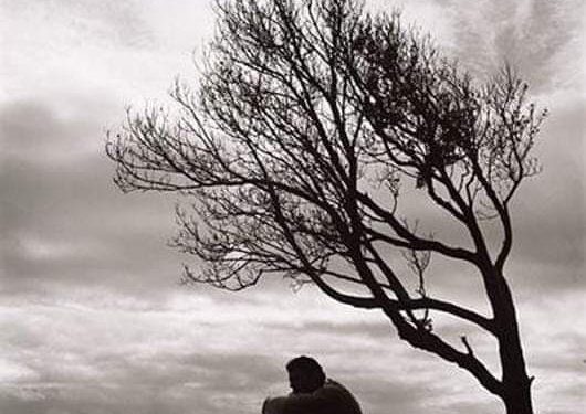 الاديبة شروق لطيف تكتب…. رواية ” رحيل أبدي ” الجزء السابع ( الصدمة )