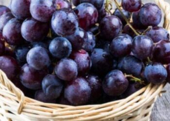 ما تأثير تناول العنب على صحتك؟ .. دراسة تكشف التفاصيل