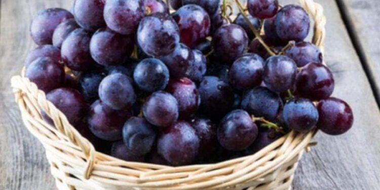 ما تأثير تناول العنب على صحتك؟ .. دراسة تكشف التفاصيل