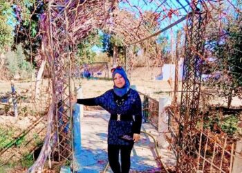 تحطّ فوق أجنحتي المبعثرة