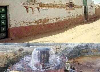 تعرف على الفرافرة