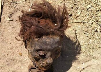 رأس مجهولة الهوية تثير زعر بين الأهالي في مركز ومدينه الطود بالأقصر