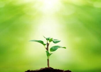 متى يصبح الحب حقيقة ؟؟