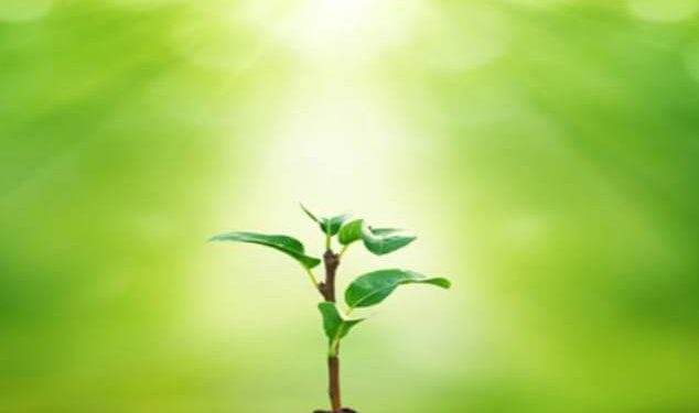 متى يصبح الحب حقيقة ؟؟