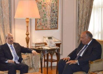 وزير الخارجية المصري يستقبل رئيس مجلس المستشارين المغربي