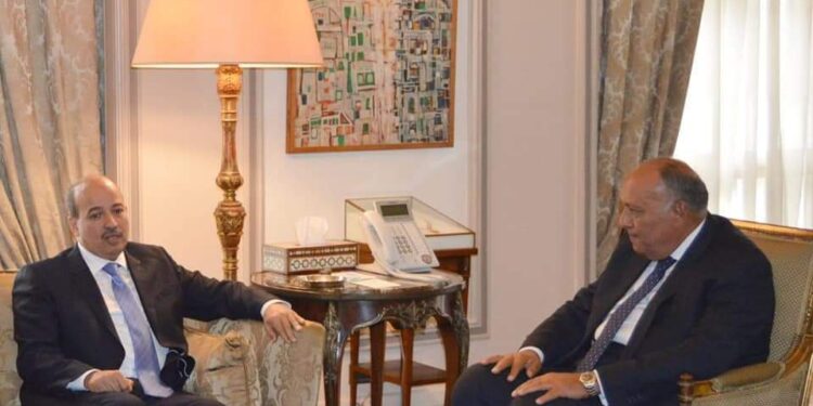 وزير الخارجية المصري يستقبل رئيس مجلس المستشارين المغربي