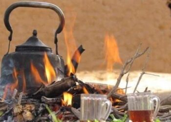 طَمْيُ البلادِ …