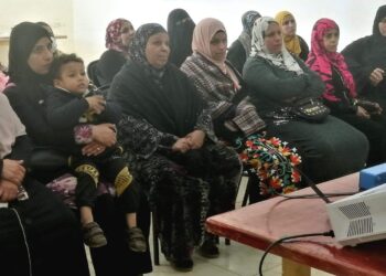 حياة كريمة.. قصور الثقافة تنفذ لقاءات تثقيف رقمي بالأسمرات