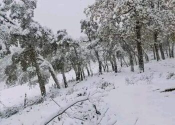 تونس ….الثلوج تكسو مرتفعات بعض المناطق…
