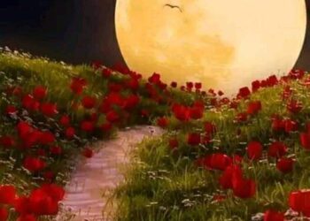 ديوان دفاتري …