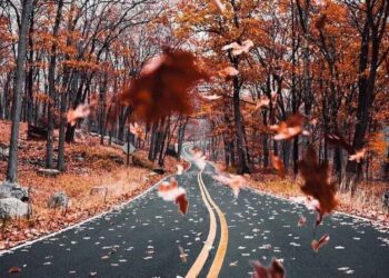 لحن الخريف …