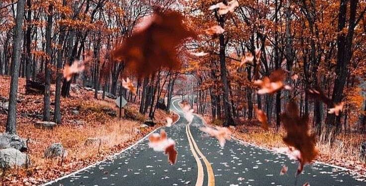 لحن الخريف …