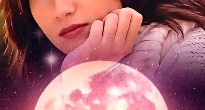 فسد الامر يا رفيقي