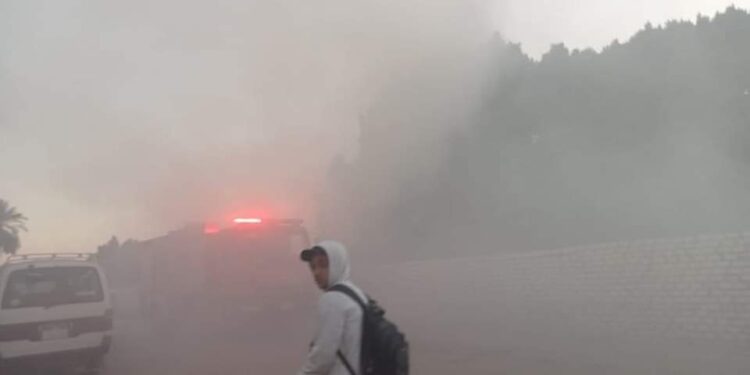 الحماية المدنية تسيطر على حريق بالاشجار بجوار موقف السيارات بالأقصر.