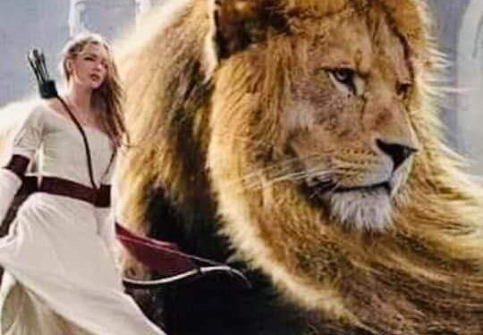 قصيدة … فارس القلب