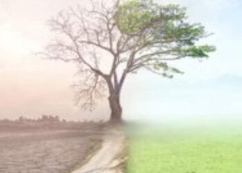 الأديبة ندى ذيبان….. تتحدث عن الإنسانية