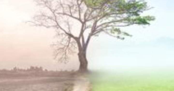 الأديبة ندى ذيبان….. تتحدث عن الإنسانية