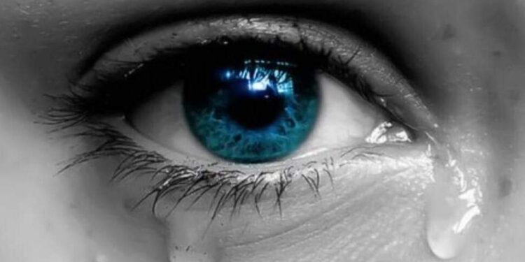 صمت العيون ….