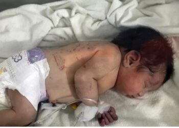 وليدة الموت …