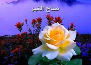 كم أشتهي أن أضمّك …